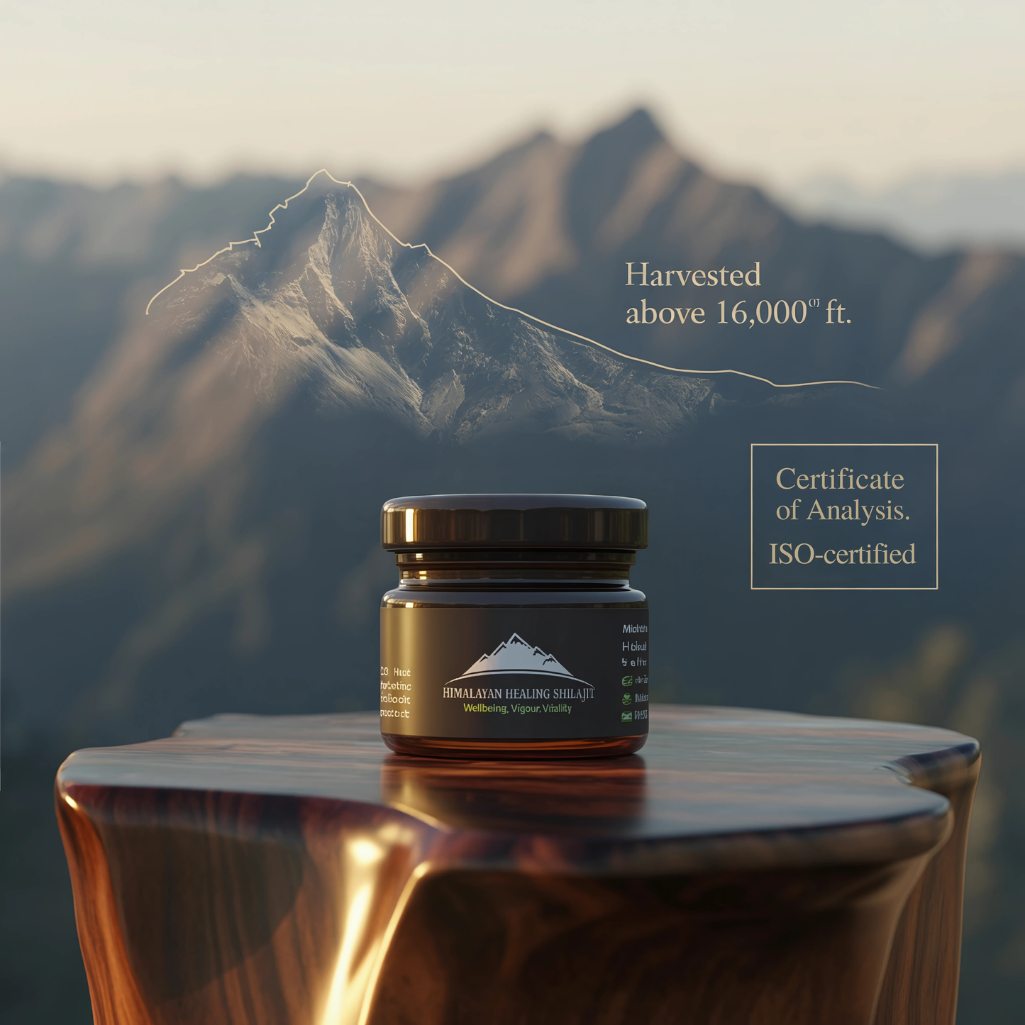 Pure Himalayan Shilajit Resin 30Gram (Includes Free Spoon)